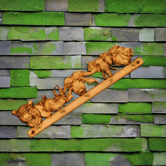 Big 5 House Key organizer